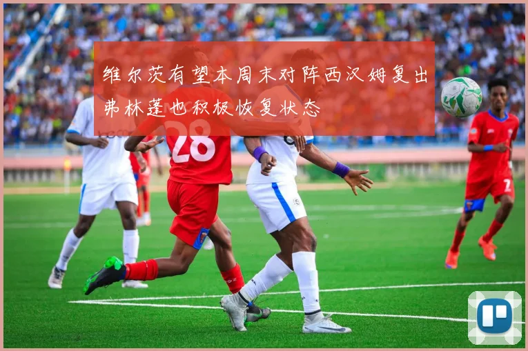 维尔茨有望本周末对阵西汉姆复出弗林蓬也积极恢复状态