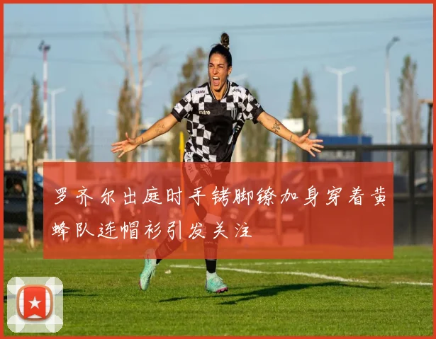 罗齐尔出庭时手铐脚镣加身穿着黄蜂队连帽衫引发关注