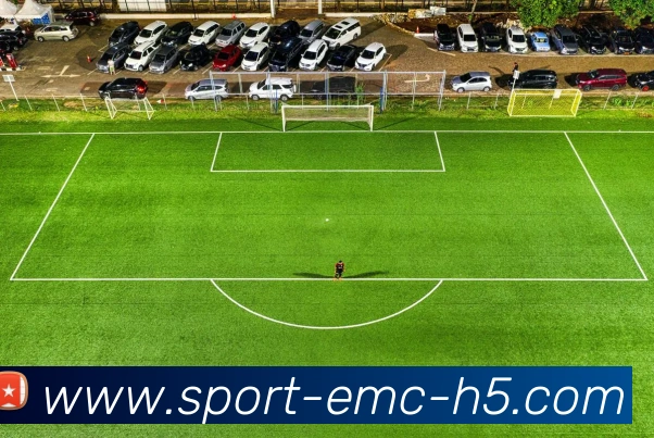 数据防护可视化